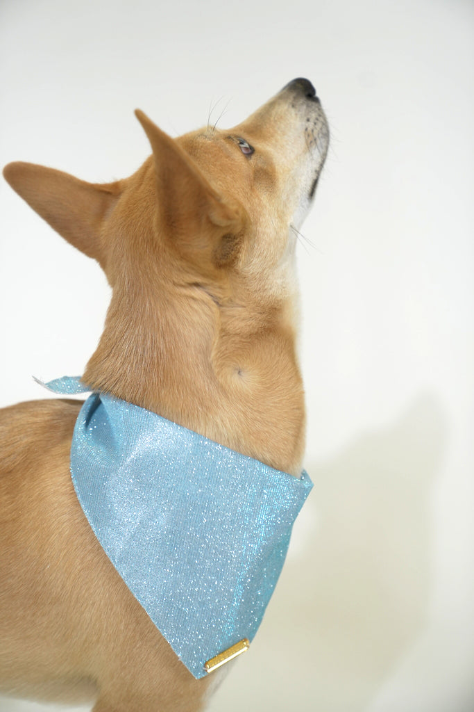 Blue Winter Bliss Bandana