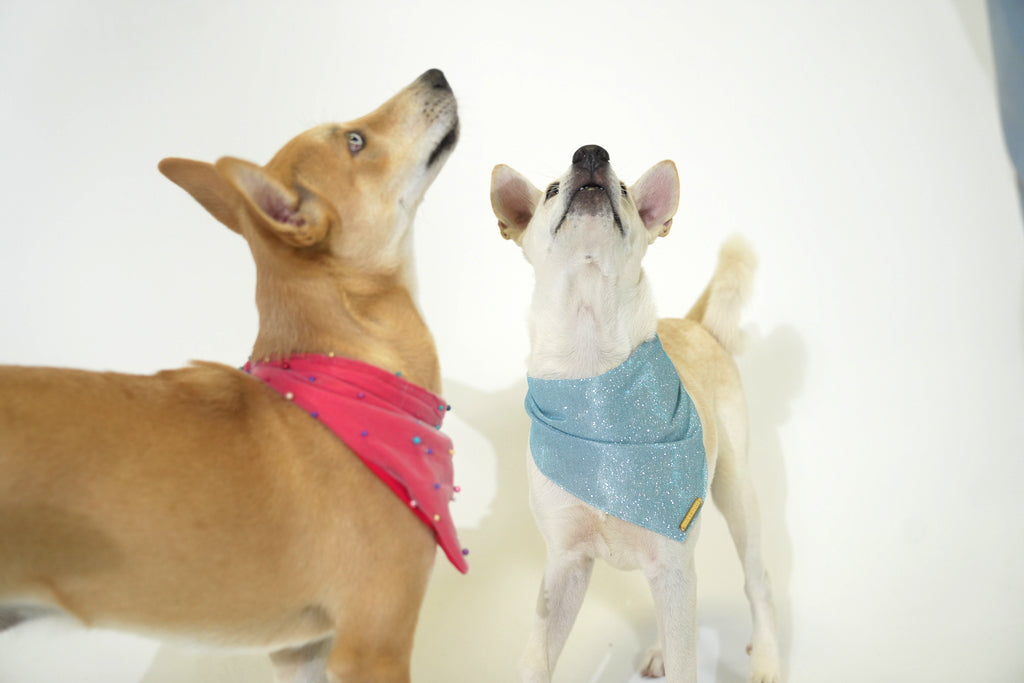 Blue Winter Bliss Bandana