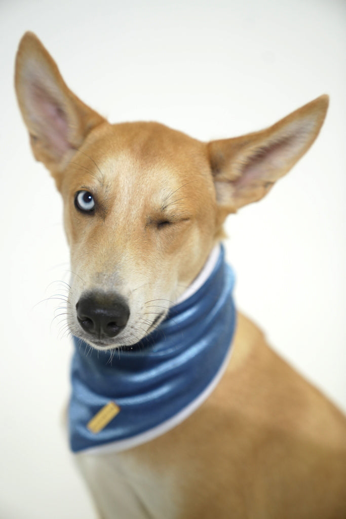 Ocean Blue Velvet Christmas Bandana