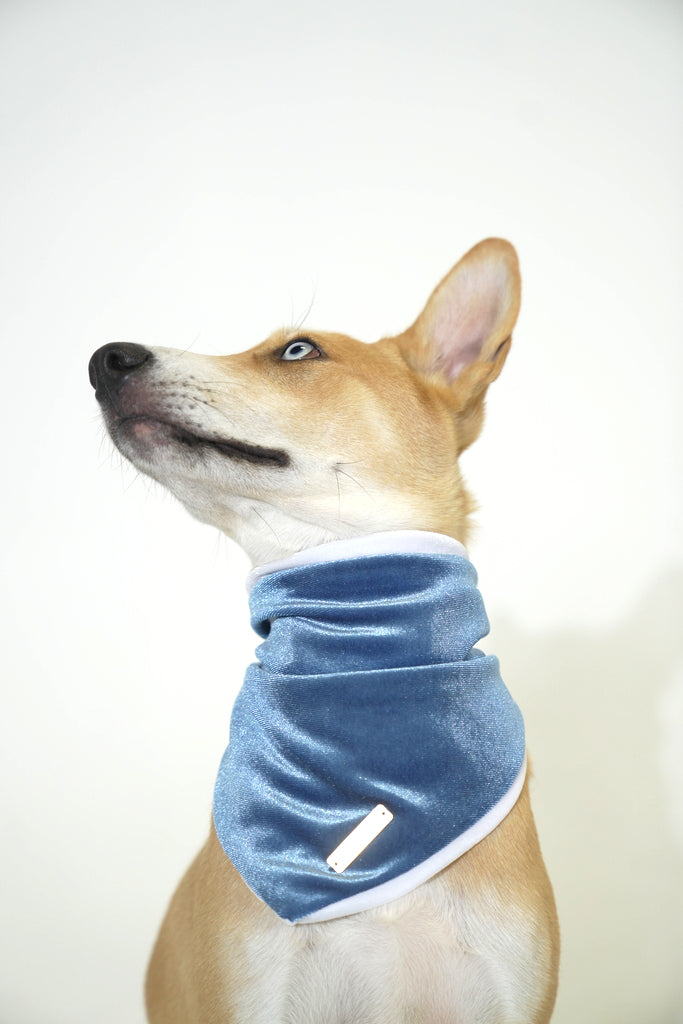 Ocean Blue Velvet Christmas Bandana