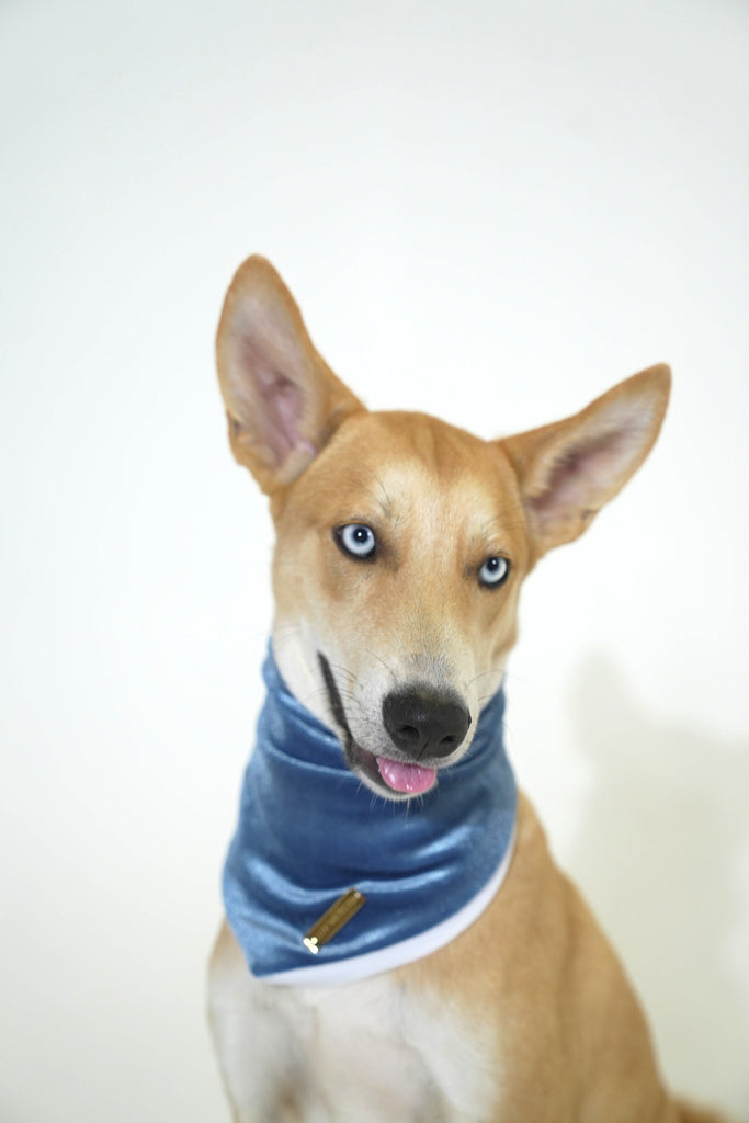 Ocean Blue Velvet Christmas Bandana