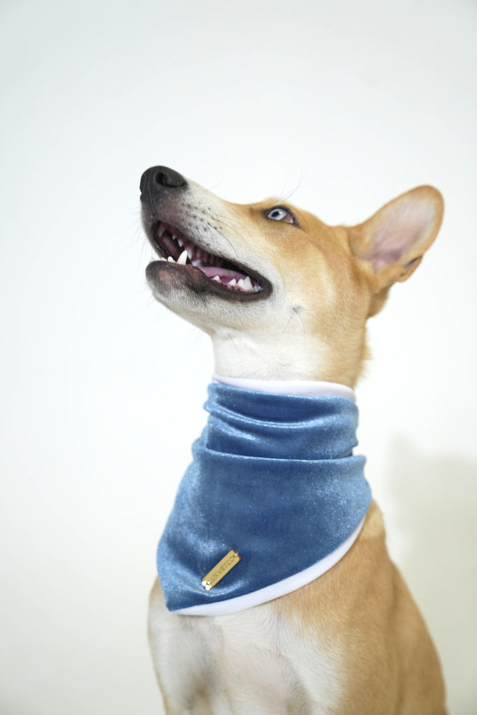 Ocean Blue Velvet Christmas Bandana