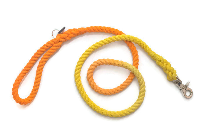 Rope Dog Leash - Luxvetco