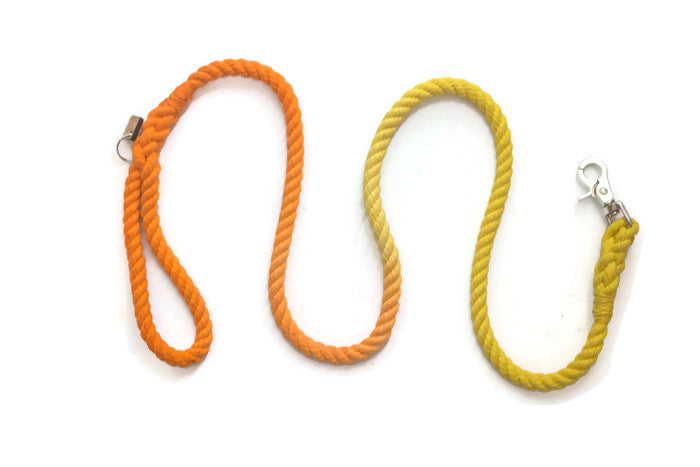 Rope Dog Leash - Luxvetco