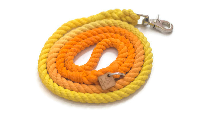 Rope Dog Leash - Luxvetco