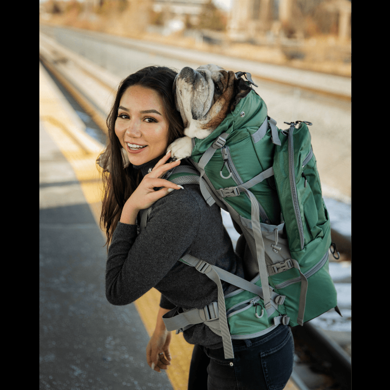 Kolossus | Big Dog Carrier & Backpacking Pack