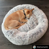 Mr. Peanut's OrthoPlush Pet Bed - Luxvetco