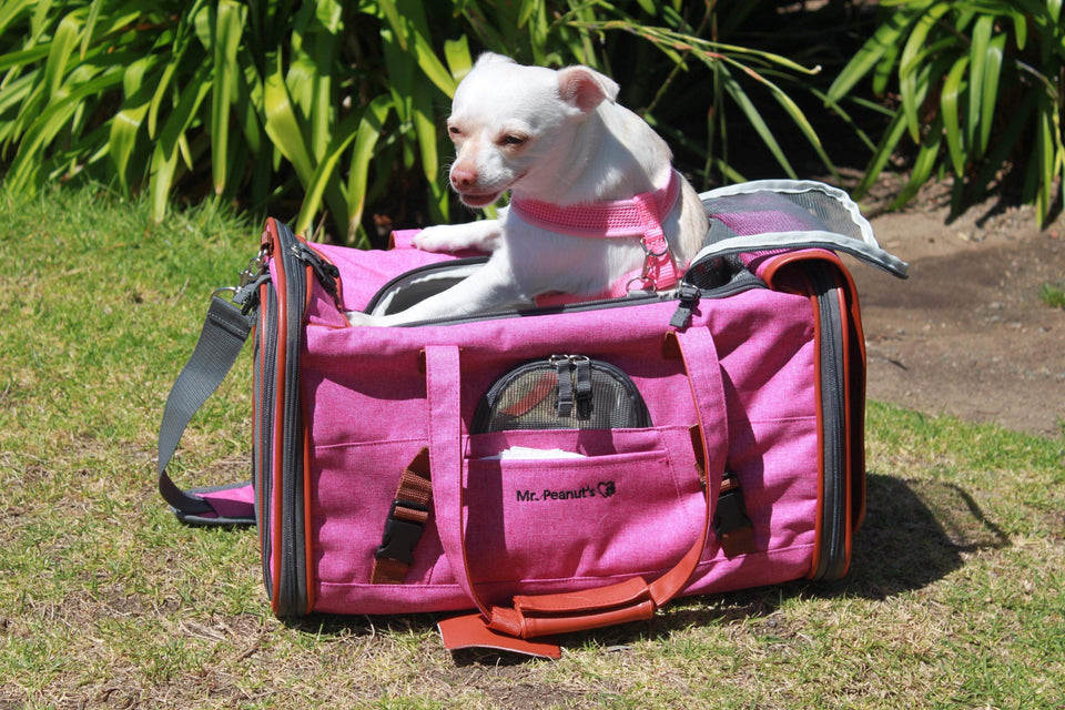 Mr. Peanut's Gold Series Pet Carrier - Luxvetco