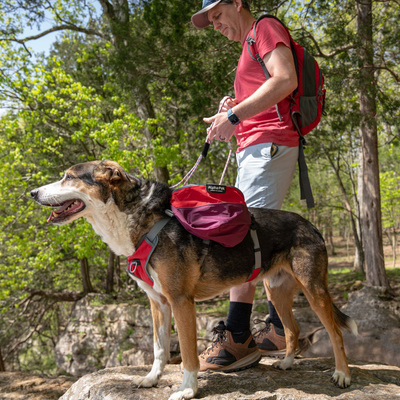 Adventurer 2-piece Dog Pack With EZ Latch  Harness