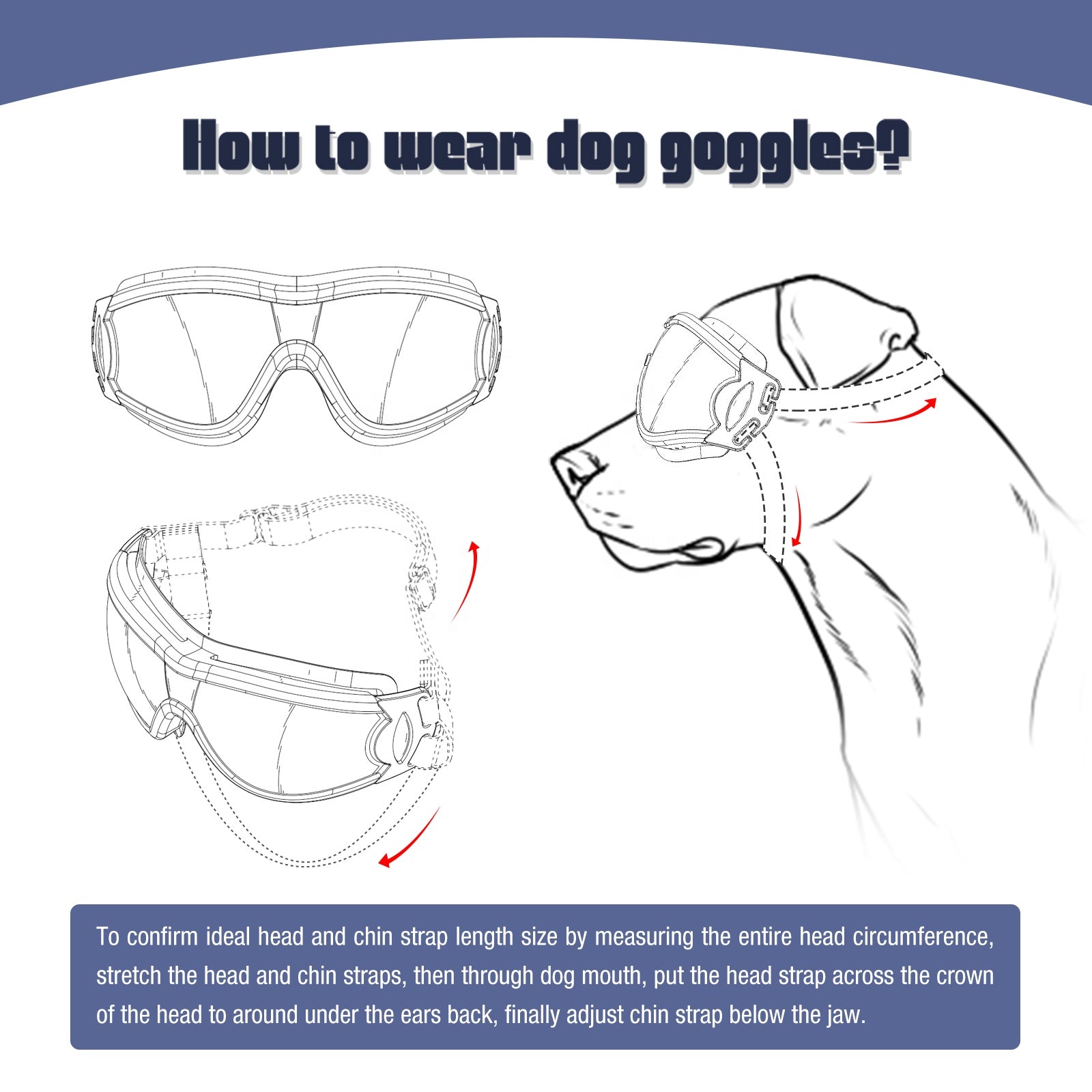 Large UV Pet Sunglasses - Luxvetco