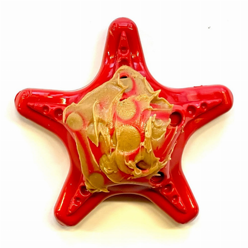 Starfish Ultra Durable Nylon Dog Chew Toy for Aggressive Chewers - Luxvetco