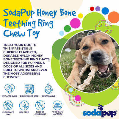 SP Honey Bone Chicken Flavored Teething Ring for Aggressive Chewers - Luxvetco