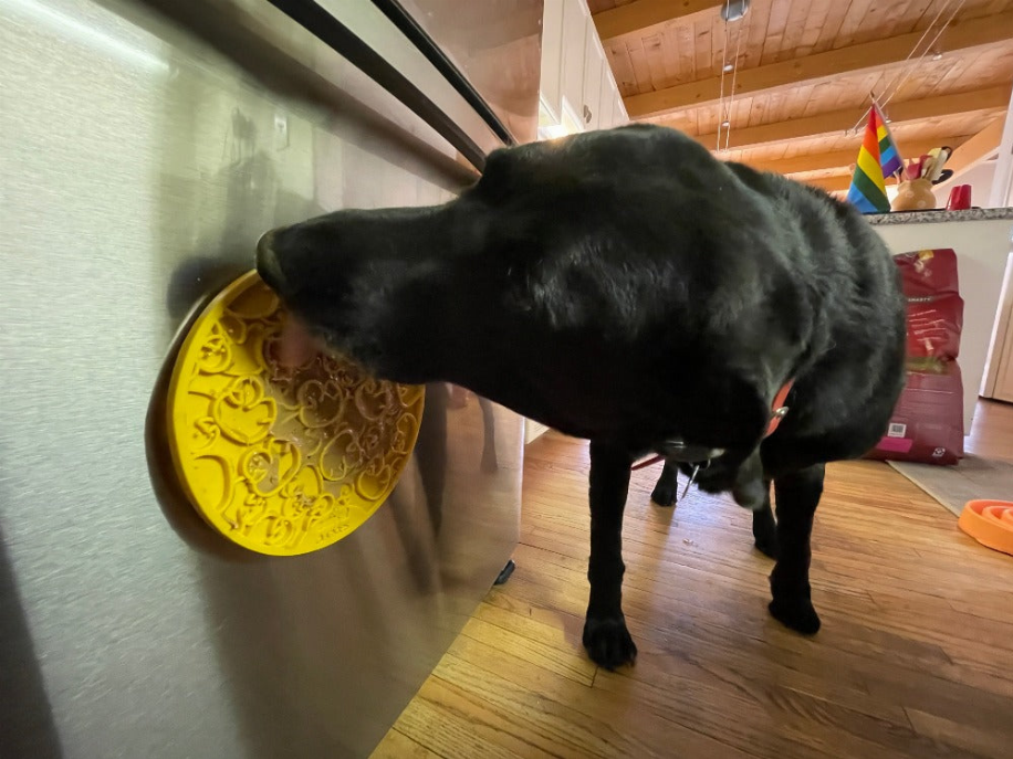 Duckies Design eMat Enrichment Lick Mat With Suction Cups - Luxvetco