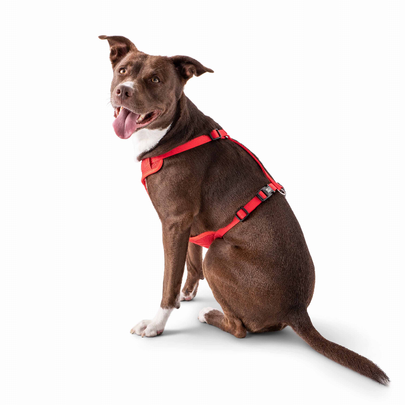 GF Pet  Travel Harness