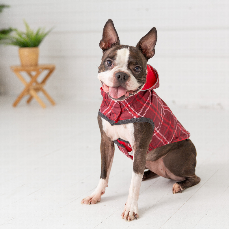 GF Pet Reversible ElastoFit Raincoat - Luxvetco