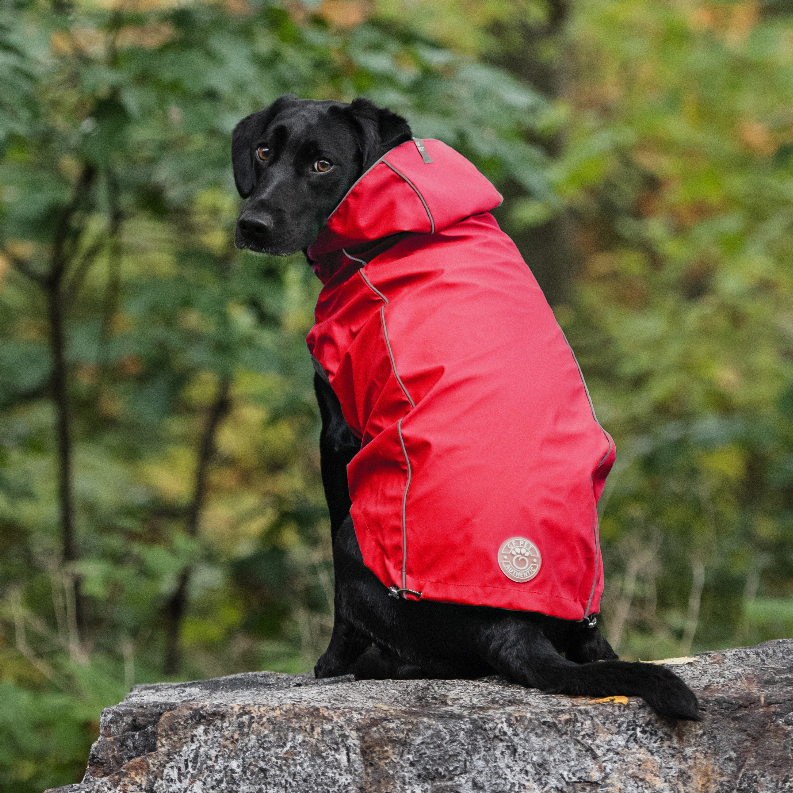 GF Pet Reversible ElastoFit Raincoat - Luxvetco