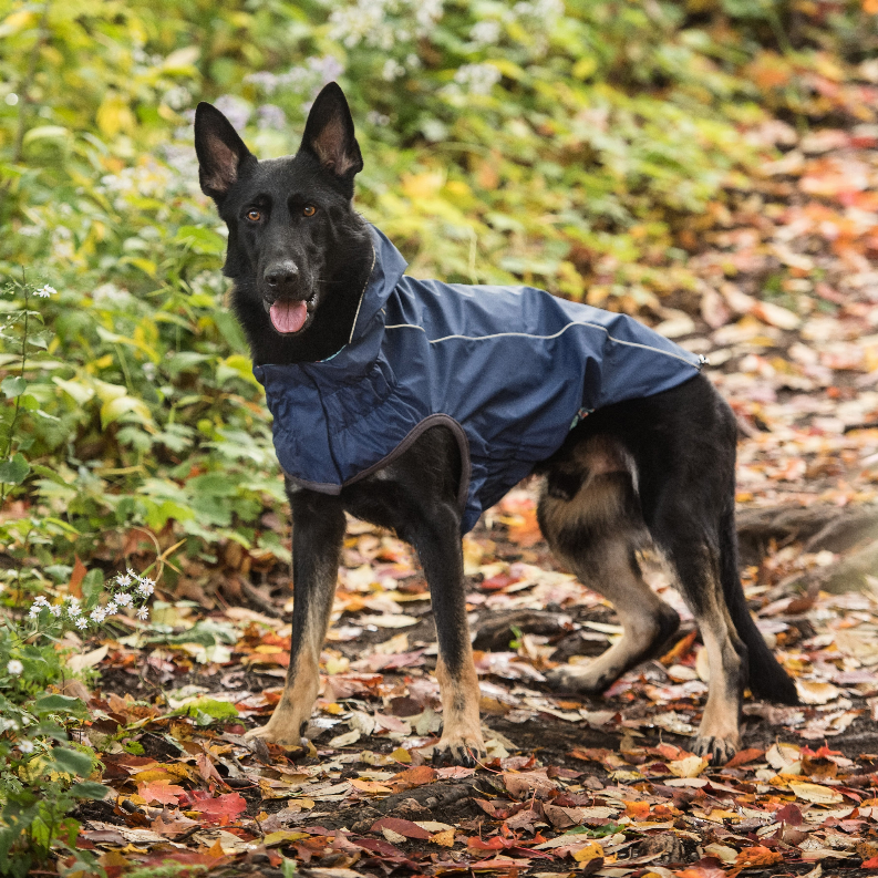 GF Pet Reversible ElastoFit Raincoat - Luxvetco