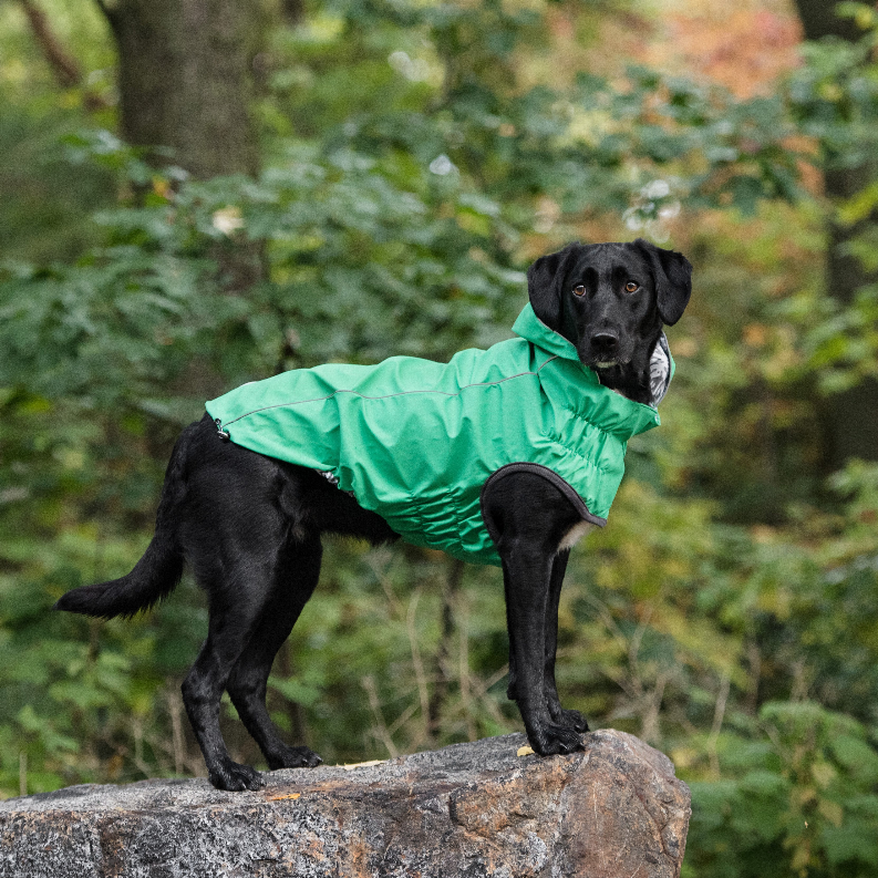 GF Pet Reversible ElastoFit Raincoat - Luxvetco