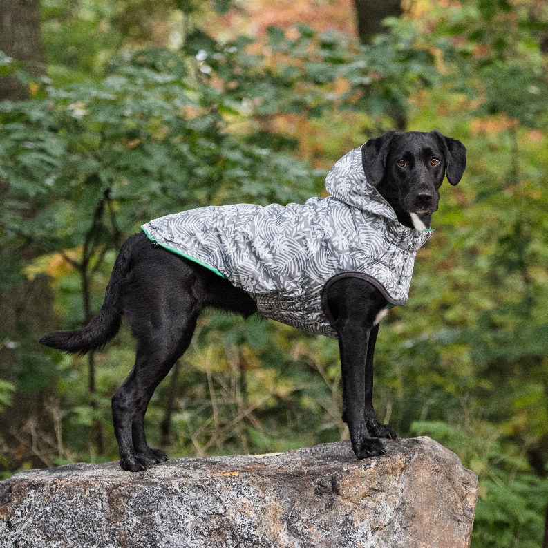 GF Pet Reversible ElastoFit Raincoat - Luxvetco