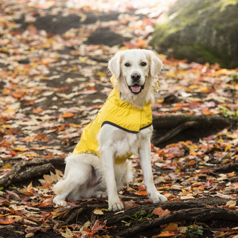 GF Pet Reversible ElastoFit Raincoat - Luxvetco