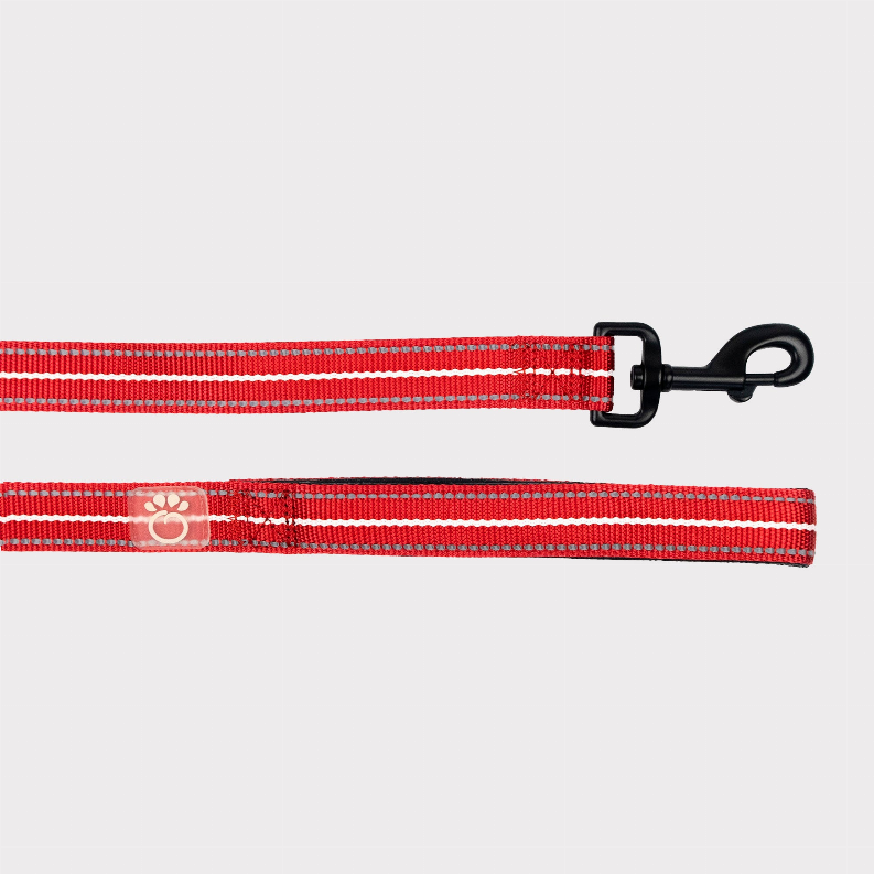 GF Pet  Reflective Leash