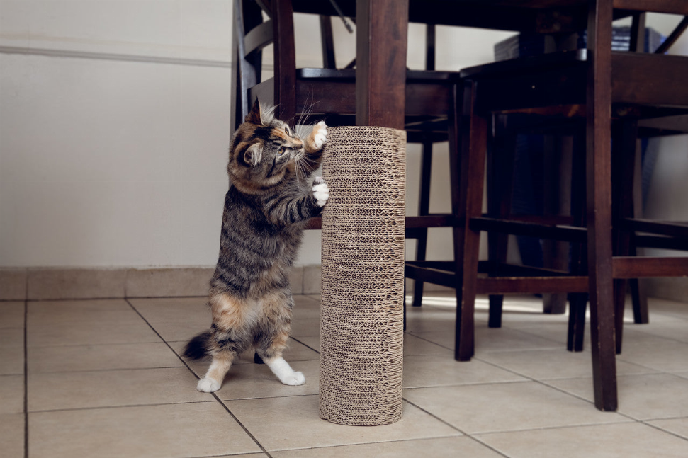 Kitty Corner Cat Scratching Post (2 pieces) - Luxvetco