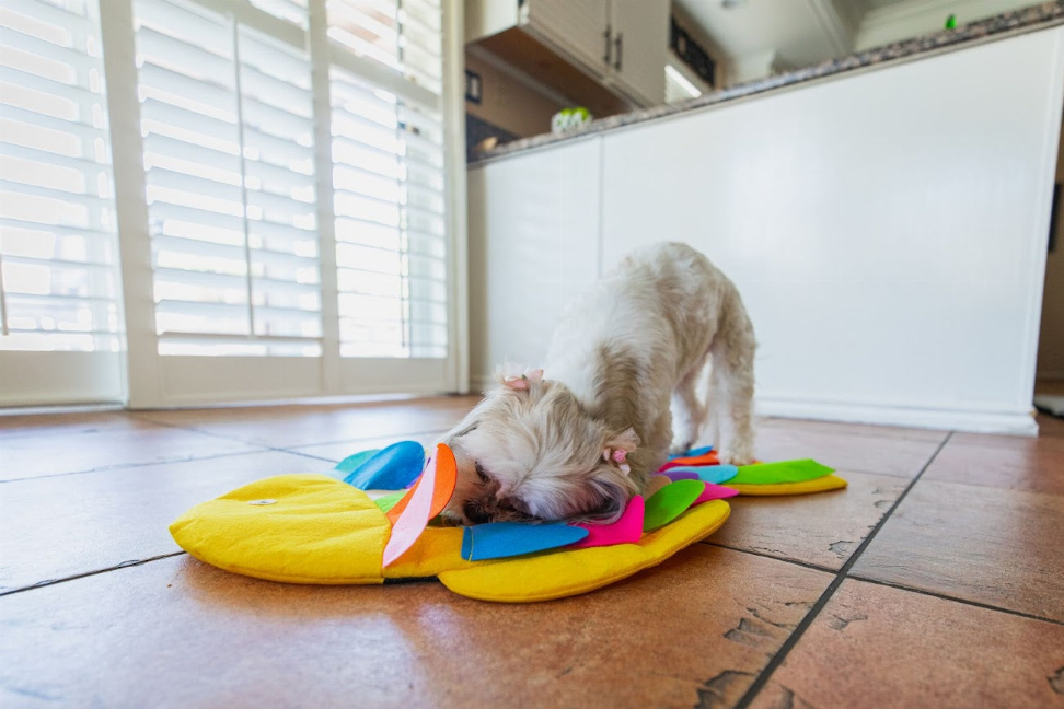 Snuffle Mat Puzzle Pad - Luxvetco