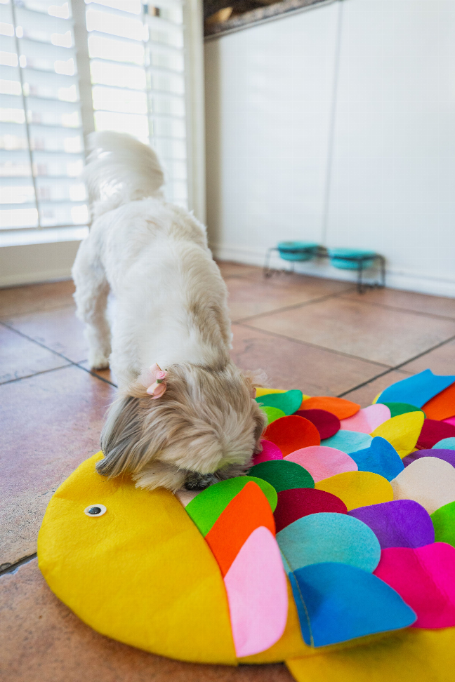 Snuffle Mat Puzzle Pad - Luxvetco