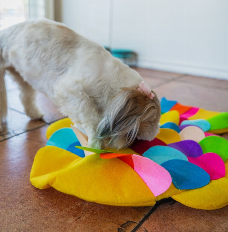 Snuffle Mat Puzzle Pad - Luxvetco