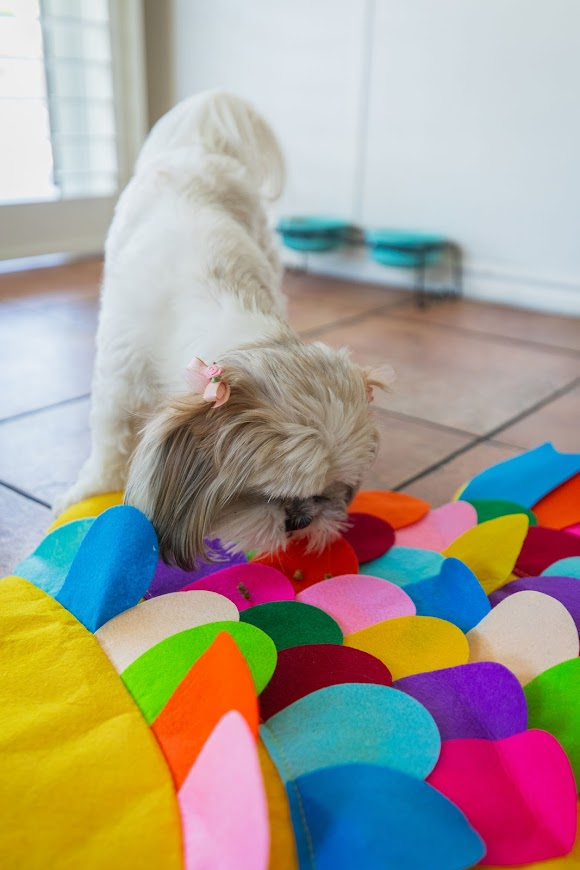 Snuffle Mat Puzzle Pad - Luxvetco