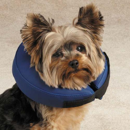 Total Pet Health Inflatable Collar - Luxvetco