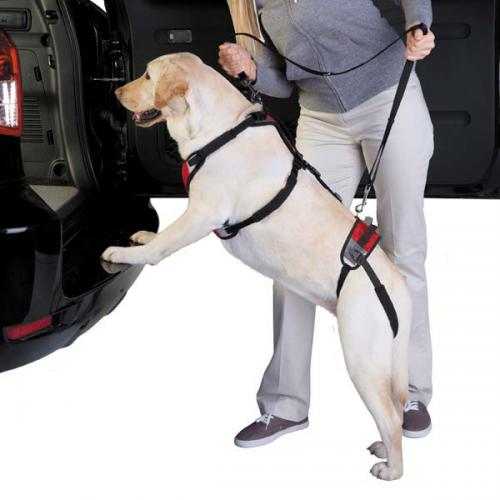 Total Pet Health Lift & Go Lead - Luxvetco