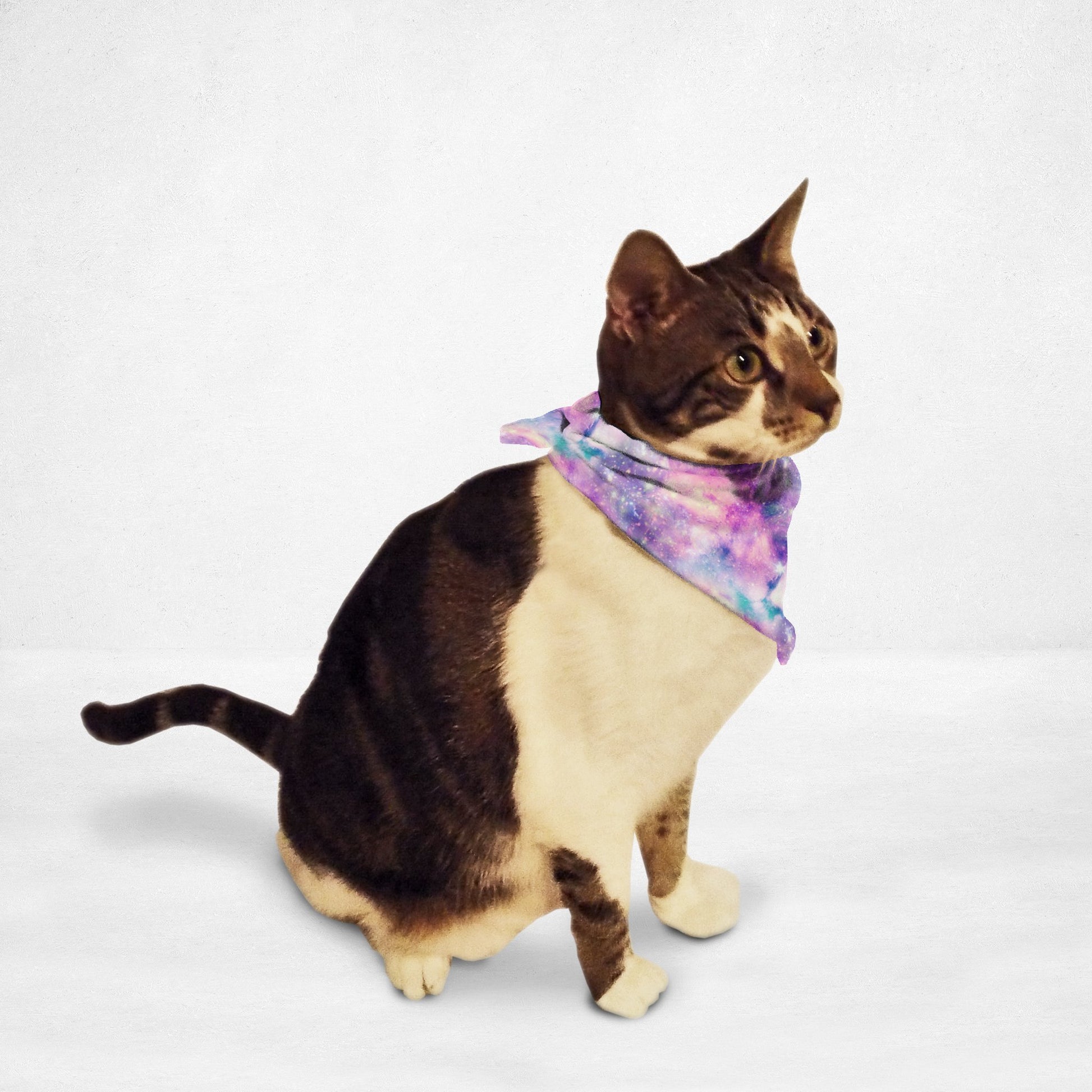 Starry Galaxy Cat & Dog Bandana - Luxvetco