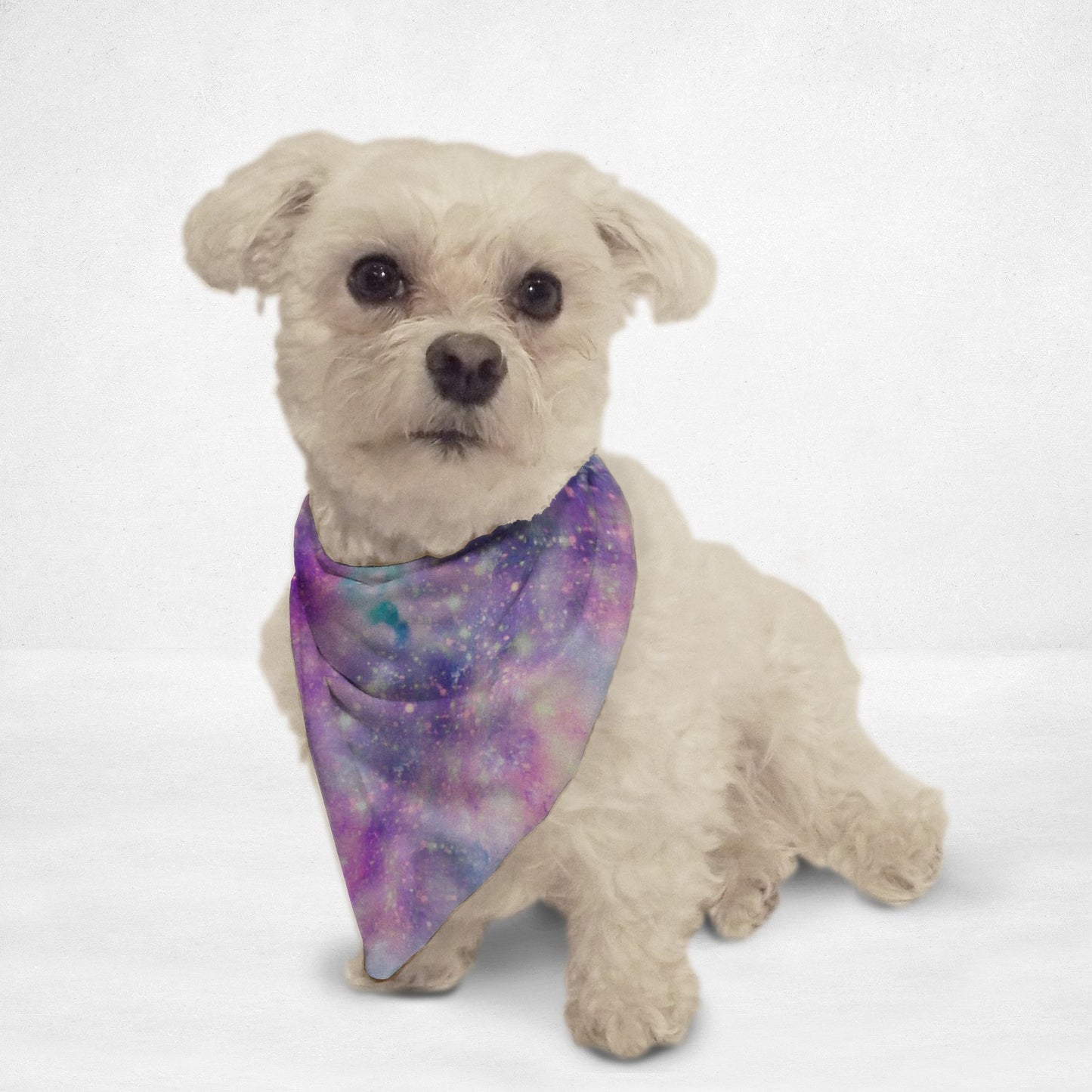 Starry Galaxy Cat & Dog Bandana - Luxvetco